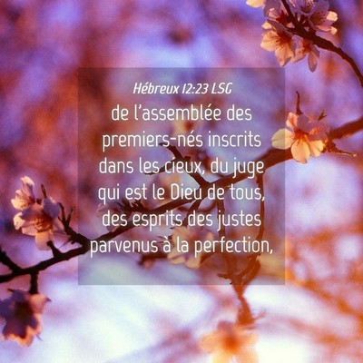 Picture 04 - Hébreux 12:23 LSG - de l'assemblée des premiers-nés inscrits dans - Bible Verse Picture
