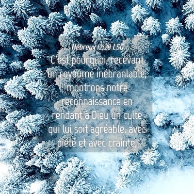 Picture 04 - Hébreux 12:28 LSG - C'est pourquoi, recevant un royaume - Bible Verse Picture