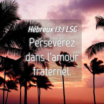 Picture 04 - Hébreux 13:1 LSG - Persévérez dans l'amour - Bible Verse Picture