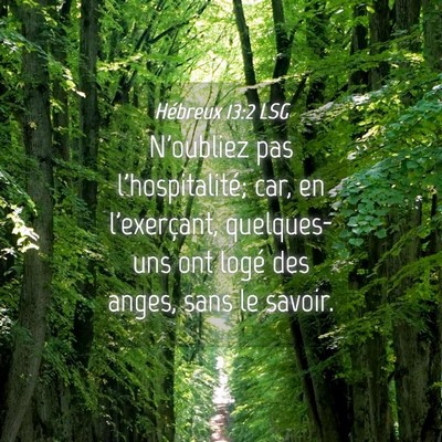 Picture 04 - Hébreux 13:2 LSG - N'oubliez pas l'hospitalité; car, en - Bible Verse Picture