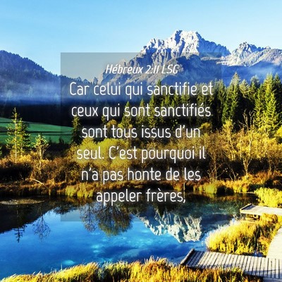 Picture 04 - Hébreux 2:11 LSG - Car celui qui sanctifie et ceux qui sont - Bible Verse Picture
