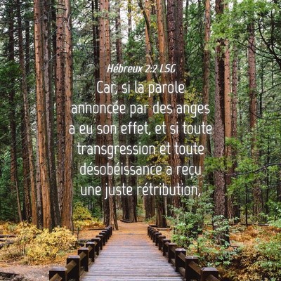 Picture 04 - Hébreux 2:2 LSG - Car, si la parole annoncée par des anges a eu - Bible Verse Picture
