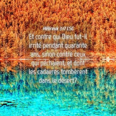 Picture 04 - Hébreux 3:17 LSG - Et contre qui Dieu fut-il irrité pendant - Bible Verse Picture