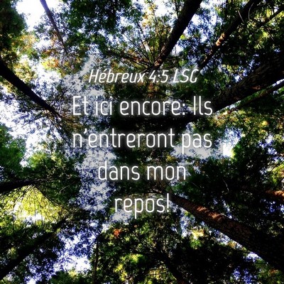 Picture 04 - Hébreux 4:5 LSG - Et ici encore: Ils n'entreront pas dans mon - Bible Verse Picture