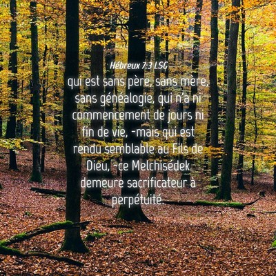 Picture 04 - Hébreux 7:3 LSG - qui est sans père, sans mère, sans - Bible Verse Picture