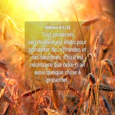 Picture 04 - Hébreux 8:3 LSG - Tout souverain sacrificateur est établi pour - Bible Verse Picture
