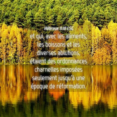 Picture 04 - Hébreux 9:10 LSG - et qui, avec les aliments, les boissons et les - Bible Verse Picture
