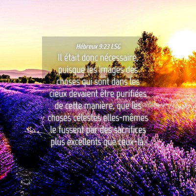 Picture 04 - Hébreux 9:23 LSG - Il était donc nécessaire, puisque les images - Bible Verse Picture