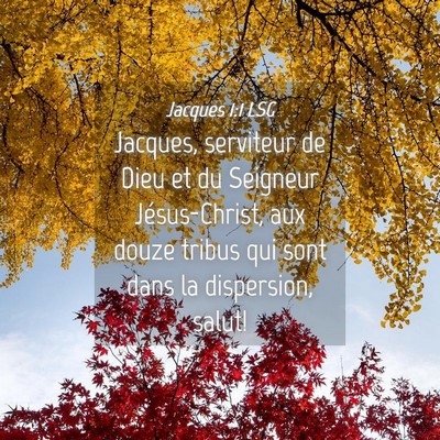 Picture 04 - Jacques 1:1 LSG - Jacques, serviteur de Dieu et du Seigneur - Bible Verse Picture
