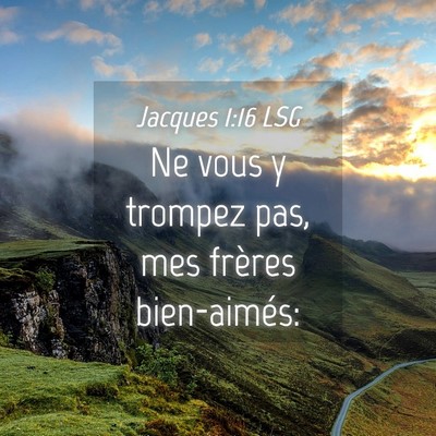 Picture 04 - Jacques 1:16 LSG - Ne vous y trompez pas, mes frères - Bible Verse Picture