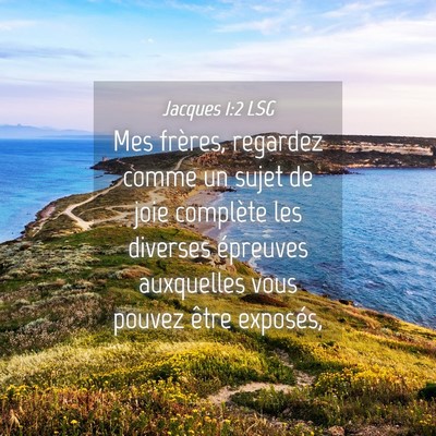 Picture 04 - Jacques 1:2 LSG - Mes frères, regardez comme un sujet de joie - Bible Verse Picture