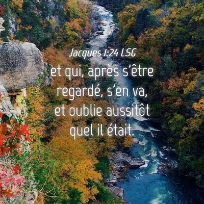 Picture 04 - Jacques 1:24 LSG - et qui, après s'être regardé, s'en va, et - Bible Verse Picture