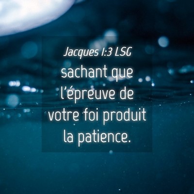 Picture 04 - Jacques 1:3 LSG - sachant que l'épreuve de votre foi produit la - Bible Verse Picture