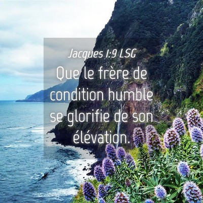 Picture 04 - Jacques 1:9 LSG - Que le frère de condition humble se glorifie de - Bible Verse Picture