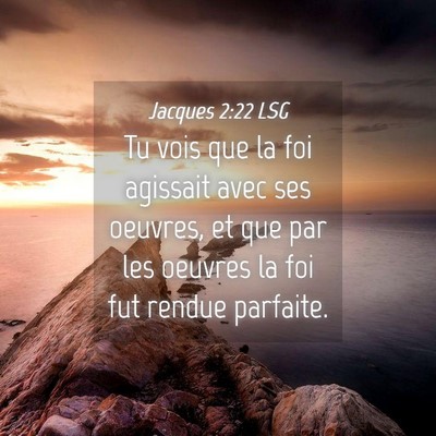 Picture 04 - Jacques 2:22 LSG - Tu vois que la foi agissait avec ses oeuvres, et - Bible Verse Picture