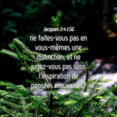 Picture 04 - Jacques 2:4 LSG - ne faites-vous pas en vous-mêmes une - Bible Verse Picture