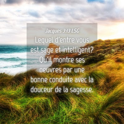 Picture 04 - Jacques 3:13 LSG - Lequel d'entre vous est sage et intelligent? - Bible Verse Picture