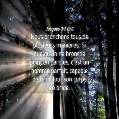 Picture 04 - Jacques 3:2 LSG - Nous bronchons tous de plusieurs manières. Si - Bible Verse Picture