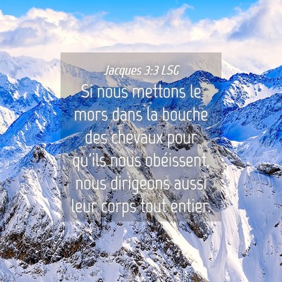 Picture 04 - Jacques 3:3 LSG - Si nous mettons le mors dans la bouche des - Bible Verse Picture