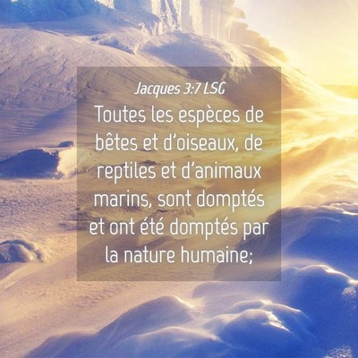Picture 04 - Jacques 3:7 LSG - Toutes les espèces de bêtes et d'oiseaux, de - Bible Verse Picture