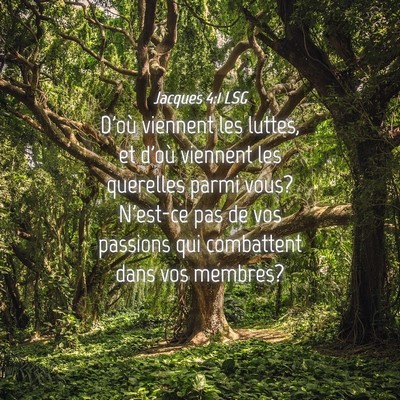 Picture 04 - Jacques 4:1 LSG - D'où viennent les luttes, et d'où viennent les - Bible Verse Picture