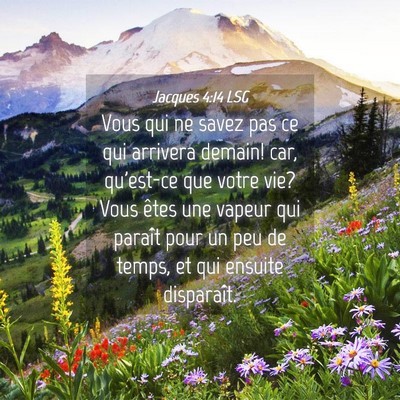 Picture 04 - Jacques 4:14 LSG - Vous qui ne savez pas ce qui arrivera demain! - Bible Verse Picture