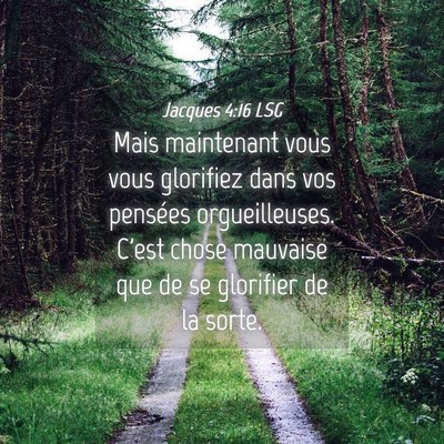Picture 04 - Jacques 4:16 LSG - Mais maintenant vous vous glorifiez dans vos - Bible Verse Picture
