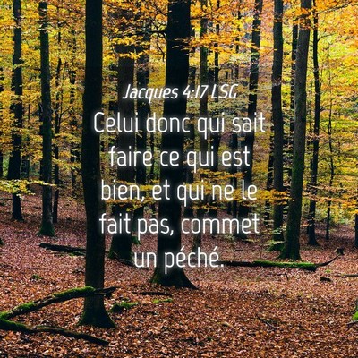 Picture 04 - Jacques 4:17 LSG - Celui donc qui sait faire ce qui est bien, et qui - Bible Verse Picture