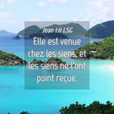 Picture 04 - Jean 1:11 LSG - Elle est venue chez les siens, et les siens ne - Bible Verse Picture