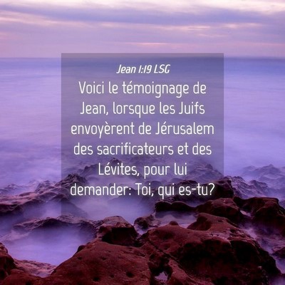 Picture 04 - Jean 1:19 LSG - Voici le témoignage de Jean, lorsque les Juifs - Bible Verse Picture