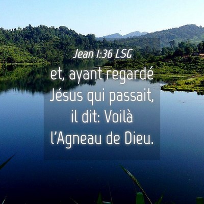Picture 04 - Jean 1:36 LSG - et, ayant regardé Jésus qui passait, il dit: - Bible Verse Picture