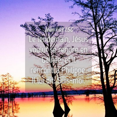 Picture 04 - Jean 1:43 LSG - Le lendemain, Jésus voulut se rendre en - Bible Verse Picture