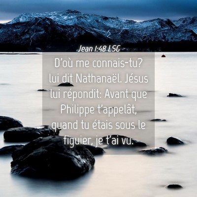 Picture 04 - Jean 1:48 LSG - D'où me connais-tu? lui dit Nathanaël. Jésus - Bible Verse Picture