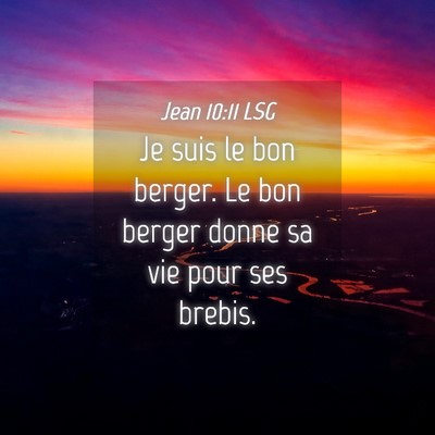 Picture 04 - Jean 10:11 LSG - Je suis le bon berger. Le bon berger donne sa vie - Bible Verse Picture