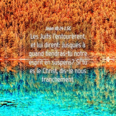 Picture 04 - Jean 10:24 LSG - Les Juifs l'entourèrent, et lui dirent: Jusques - Bible Verse Picture