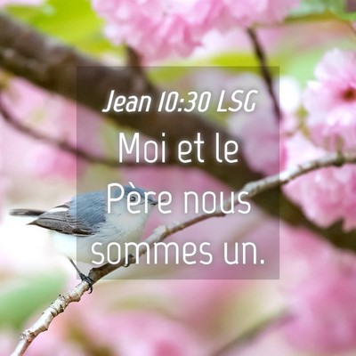 Picture 04 - Jean 10:30 LSG - Moi et le Père nous sommes - Bible Verse Picture