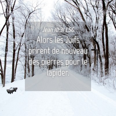 Picture 04 - Jean 10:31 LSG - Alors les Juifs prirent de nouveau des pierres - Bible Verse Picture
