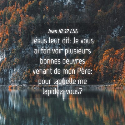 Picture 04 - Jean 10:32 LSG - Jésus leur dit: Je vous ai fait voir plusieurs - Bible Verse Picture