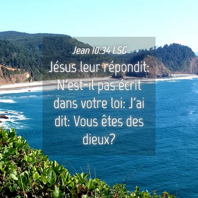 Picture 04 - Jean 10:34 LSG - Jésus leur répondit: N'est-il pas écrit dans - Bible Verse Picture