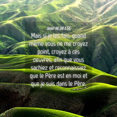 Picture 04 - Jean 10:38 LSG - Mais si je les fais, quand même vous ne me - Bible Verse Picture