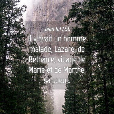 Picture 04 - Jean 11:1 LSG - Il y avait un homme malade, Lazare, de Béthanie, - Bible Verse Picture