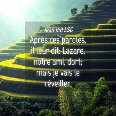 Picture 04 - Jean 11:11 LSG - Après ces paroles, il leur dit: Lazare, notre - Bible Verse Picture