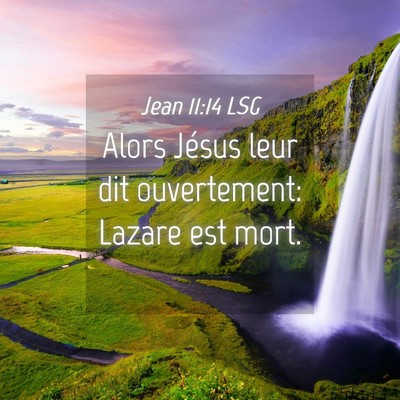 Picture 04 - Jean 11:14 LSG - Alors Jésus leur dit ouvertement: Lazare est - Bible Verse Picture