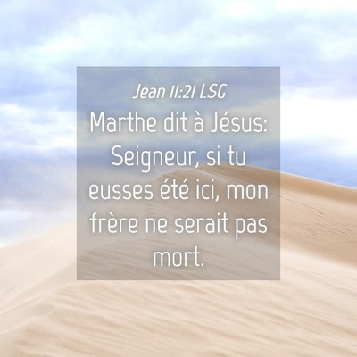 Picture 04 - Jean 11:21 LSG - Marthe dit à Jésus: Seigneur, si tu eusses - Bible Verse Picture