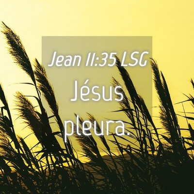 Picture 04 - Jean 11:35 LSG - Jésus - Bible Verse Picture