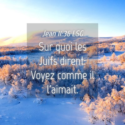 Picture 04 - Jean 11:36 LSG - Sur quoi les Juifs dirent: Voyez comme il - Bible Verse Picture