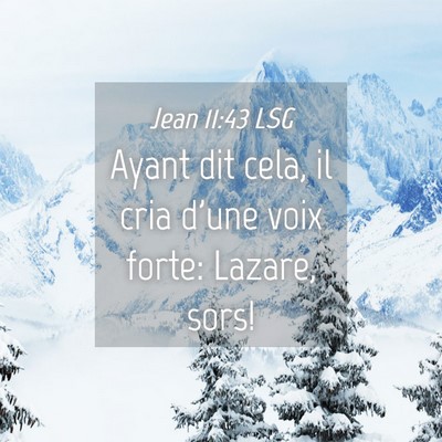 Picture 04 - Jean 11:43 LSG - Ayant dit cela, il cria d'une voix forte: Lazare, - Bible Verse Picture
