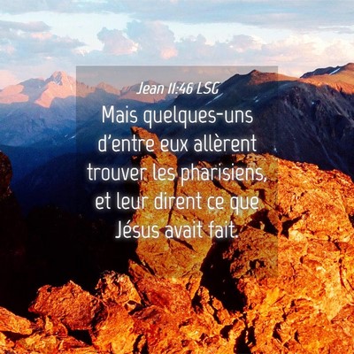 Picture 04 - Jean 11:46 LSG - Mais quelques-uns d'entre eux allèrent trouver - Bible Verse Picture