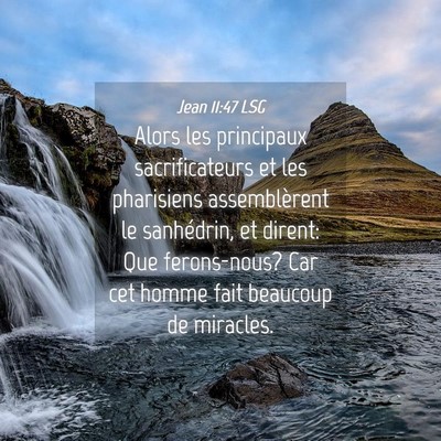 Picture 04 - Jean 11:47 LSG - Alors les principaux sacrificateurs et les - Bible Verse Picture