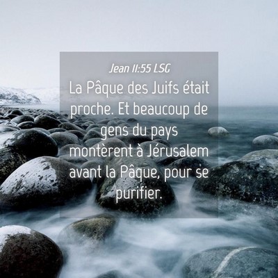 Picture 04 - Jean 11:55 LSG - La Pâque des Juifs était proche. Et beaucoup de - Bible Verse Picture
